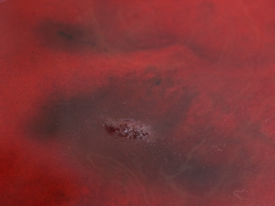 I`m sure it`s all natural cranberry flavor and color.