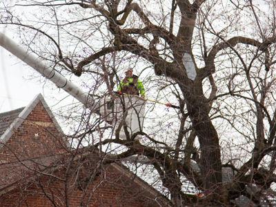 The modern lumberjack.