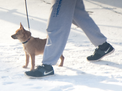 On a day like today, I`d give the dog a key to the back door and say, `Go walk yourself, poochie.`