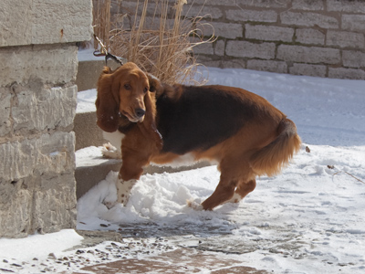 `No -- don`t -- want -- walk.`