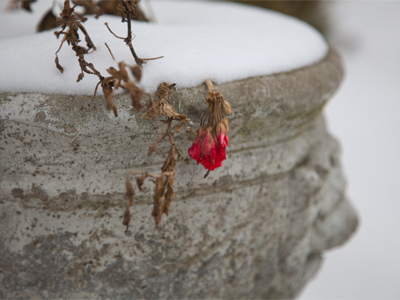 You are the promised kiss of springtime that makes the lonely winter seem long. OSCAR HAMMERSTEIN II