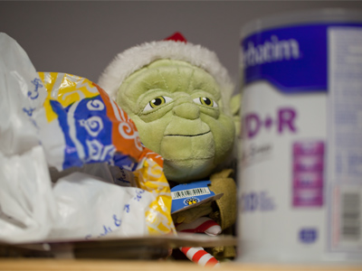 A shy inhabitant of my office.