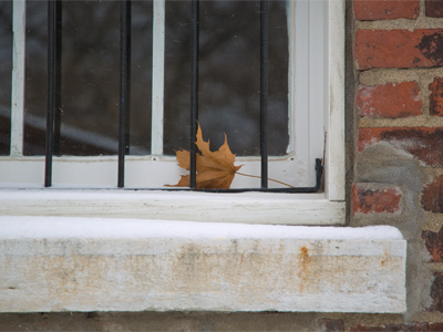 Looking forward to spring, looking backward at autumn.