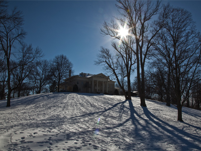 Orville and Wilbur have been sledding in the front yard.