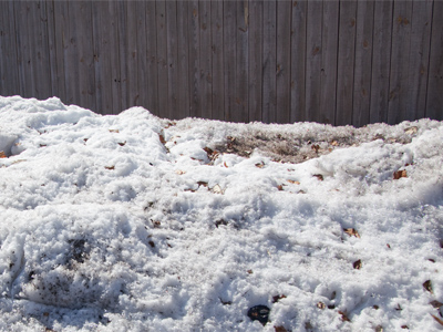 I hate that groundhog.