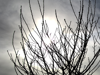 Don`t look for anything more in this photo.  There isn`t.