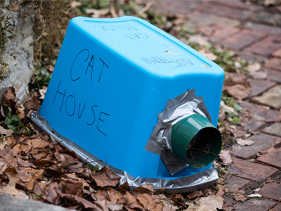 Cats check in, but they don`t check out.