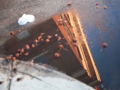 Why I wear boots every day.