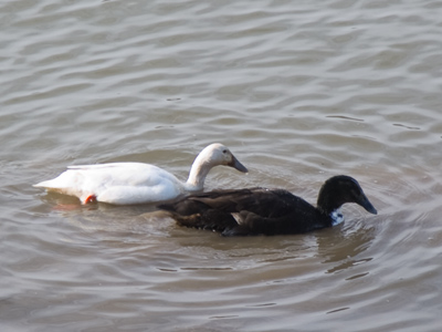 And everyone said their relationship would never work.