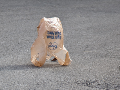 Great moments in evolution:  plastic bag walks upright.