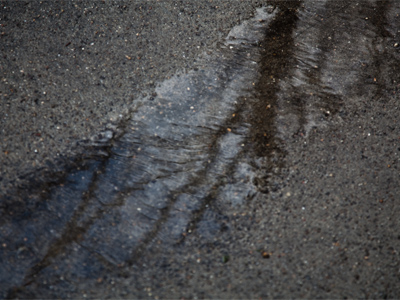 March comes in like a lion.