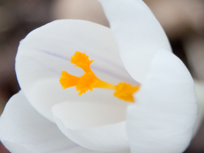 If it`s spring, why am I wearing my winter coat?