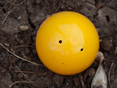 Don`t break the yolk!