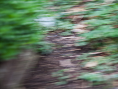 I went home from work early feeling dizzy.  My ears were messed up, maybe due to wearing earplugs all weekend.