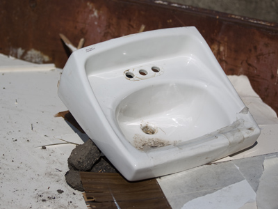 My daily photos show you a bit of everything, even the . . . 