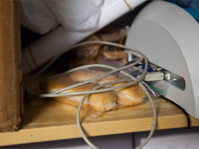 Maybe this is why there are ants in the room where I work.