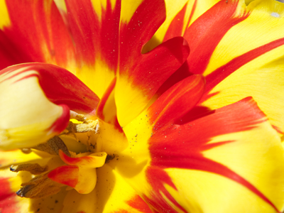 Get the fire extinguisher.