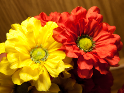 Fake flowers for my photography workshop on Saturday.