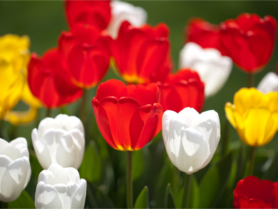 Between the cold and the heat lies the time of perfection.