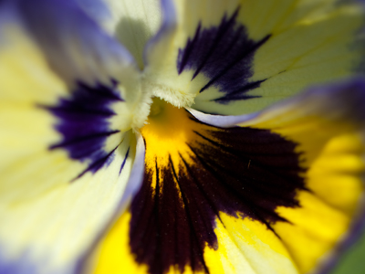 Today I taught a workshop on closeup nature photography.  Hopefully I learned something from the class.