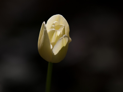 Avoid the temptation of making white things too bright.