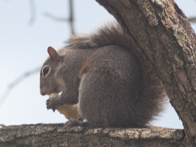 We ate lunch at the same time.