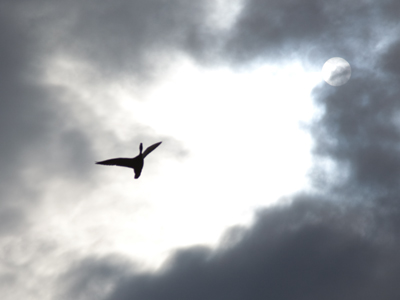 After I took this one, I thought, `Okay, I can go home now.`