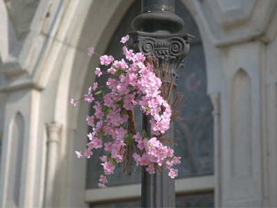 Ready and waiting for a wedding.  Anyone?