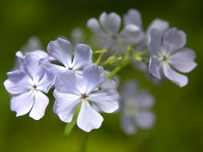 It looks like a pretty simple photograph.  It wasn`t.