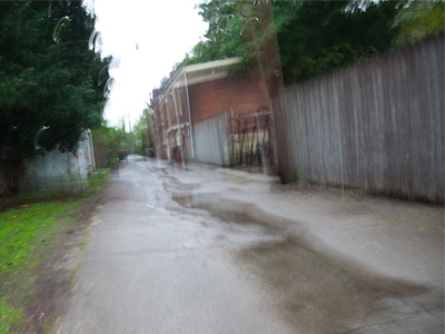 What an awful week of picture-taking this has become.