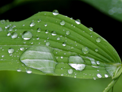 After a rainy start, this morning I was able to lead an outdoor nature photography workshop.