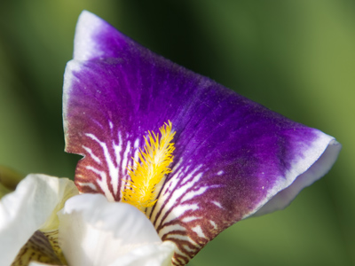 Be sure to brush every day.