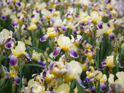 These weren`t here five minutes ago.