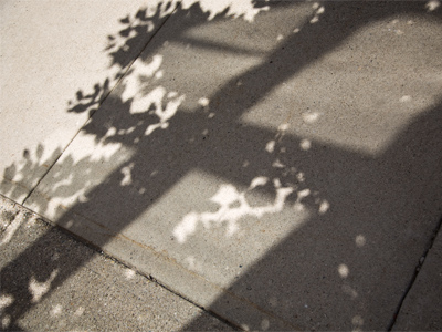 Reflections and shadows, sunlight and sidewalk.
