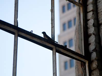 It`s good that the parking garage doesn`t have windows.