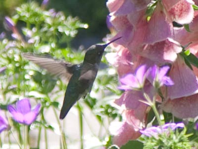 If someone in my photography workshop showed me this I`d give them a long list of things that could`ve been better.