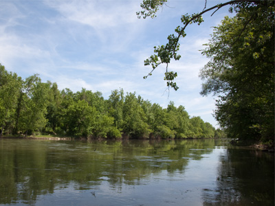 A nice, calm and peaceful river, right?