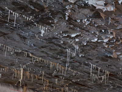 Believe it or not, I actually have to pay money to park here.