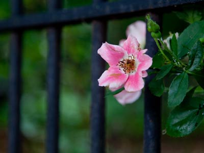 Past its prime, but then again so am I.