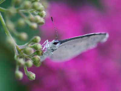 I took this while one of the students stood and watched.  When I showed her the photo she was ecstatic.