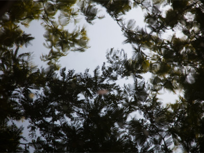 The water is a lot more calm (see June 12 above).