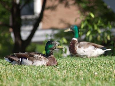 `No, HE has to apologize first.`