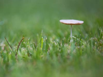 I was ready to take shelter in case it started raining.