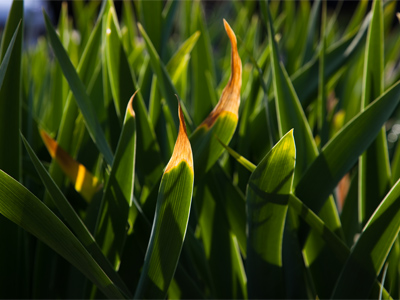 Most of today`s pictures were taken while kneeling.