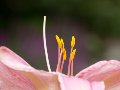 Sometimes the girls play hard to get.