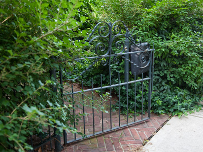 Guess:  what is nature`s favorite color?