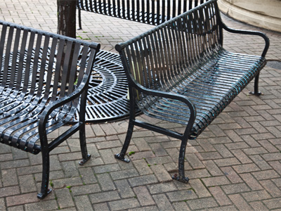 Outside my building, the Adam Alonzo fan club gathers.