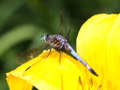 Tough shot, though it`s hard to tell.