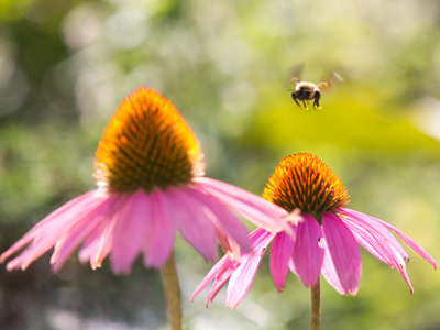 He has to start working before I do.