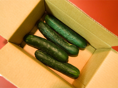 Let me know if you need cucumbers.  Or a cardboard box.